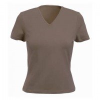 Women Short Sleeve V-Neck T-Shirt