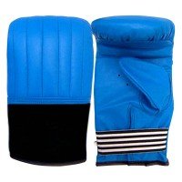 Blue Leather Boxing Bag Mitts