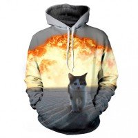 Custom Design Printed Polyester Fleece Pullover Hoodie